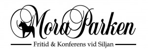 MoraParken - Mora Triatahlon 2013